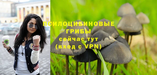 бошки Абинск