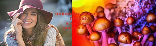 прущая мука Алексин