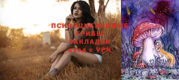 mdpv Няндома